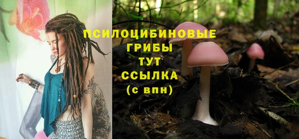 соль ск Балахна