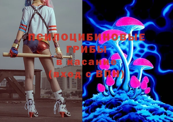 соль ск Балахна