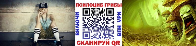 omg ТОР  купить наркотики сайты  Шацк  Псилоцибиновые грибы мицелий 